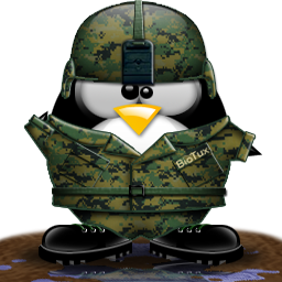 penguin pingouin pinguino 889